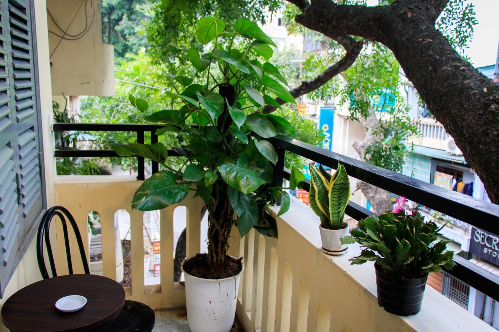 Hanoi Family Homestay Luaran gambar
