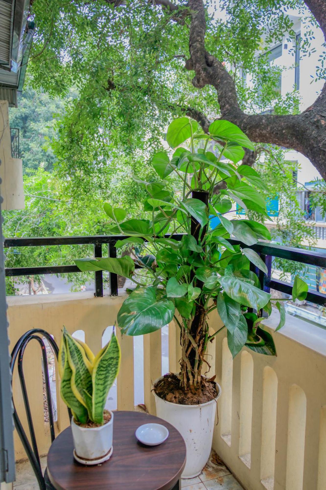 Hanoi Family Homestay Luaran gambar